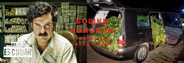 спайс Алзамай
