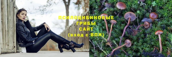 спайс Алзамай