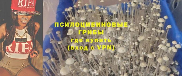 спайс Алзамай