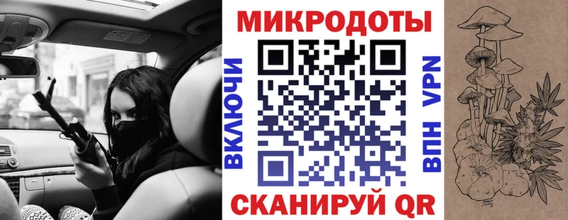 Галлюциногенные грибы Psilocybe  Узловая 
